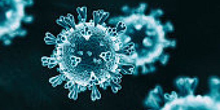 Virus