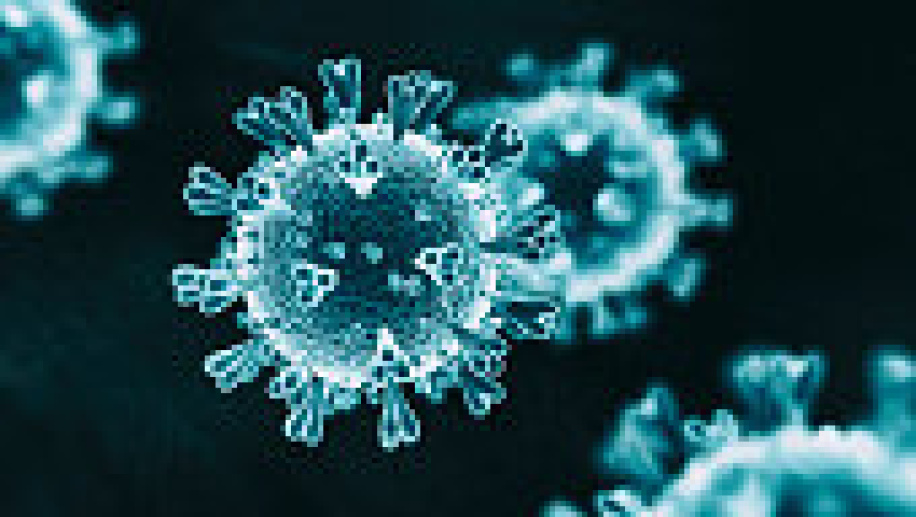 Virus